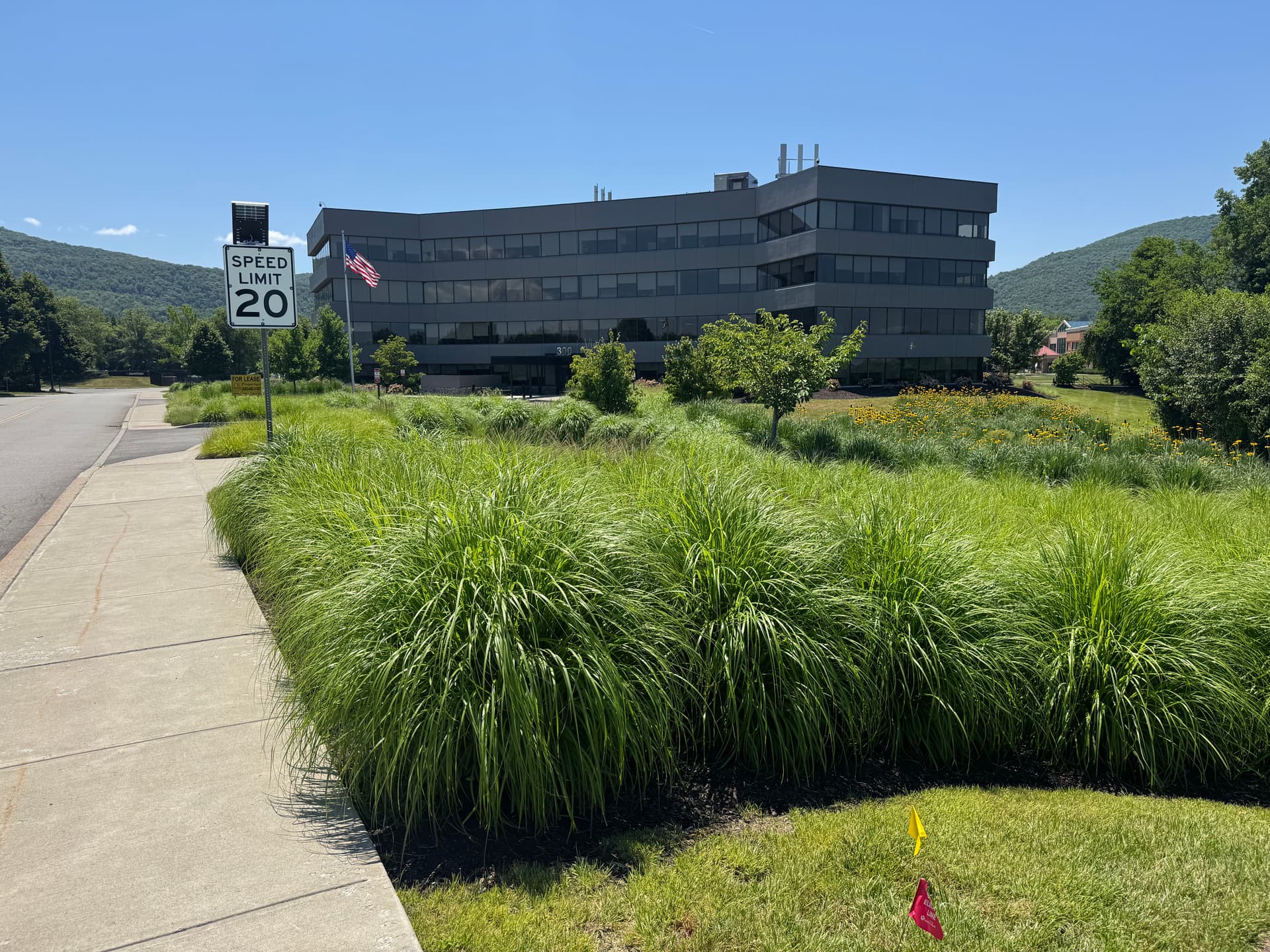Gallery photos for This Commercial Landscape Still Looks This Good After 5 Years: Image #4