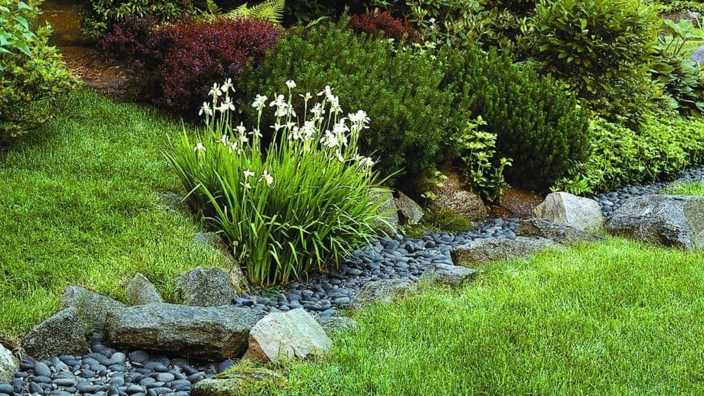 Drainage & Water Management image