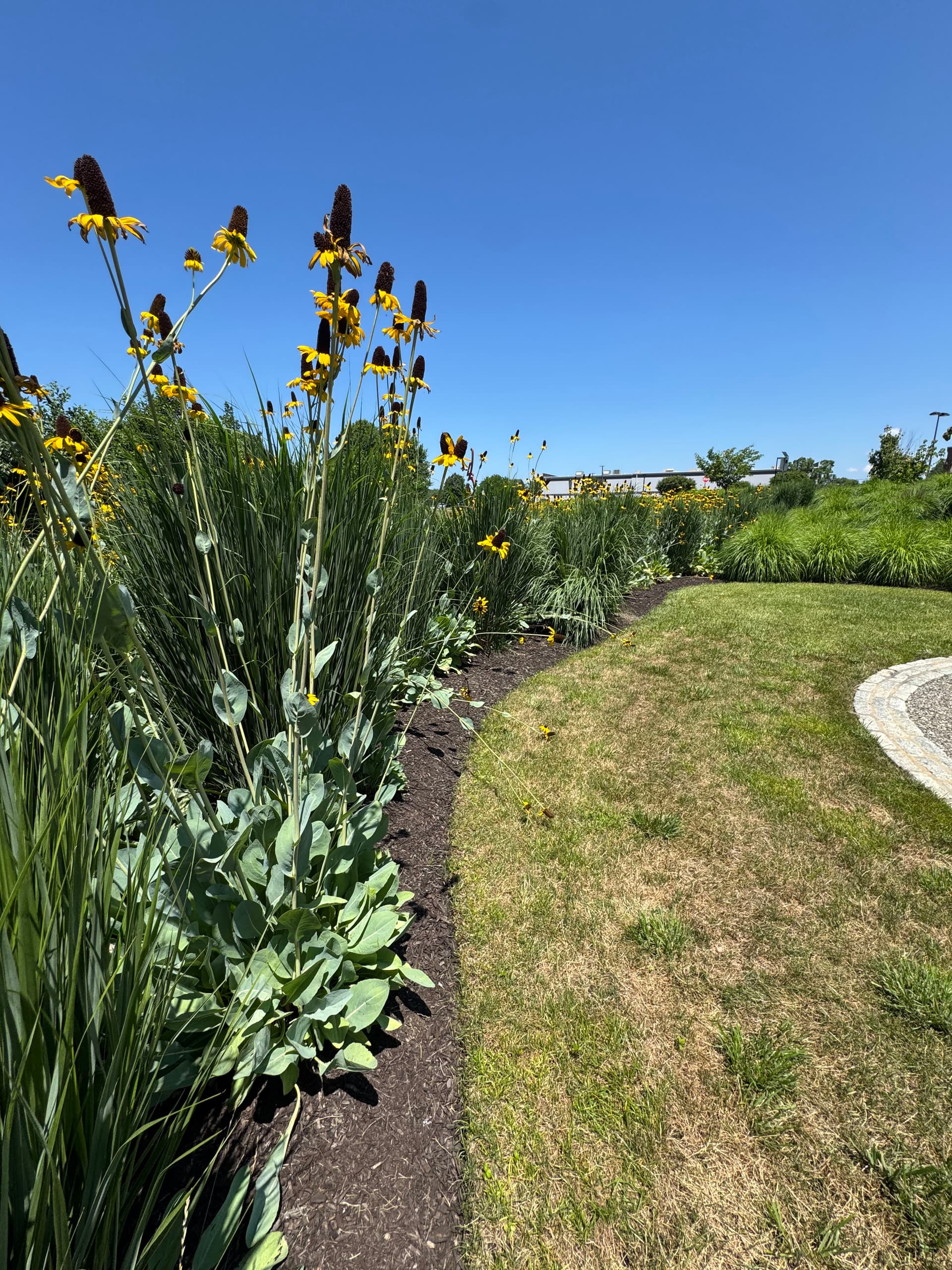 Gallery photos for This Commercial Landscape Still Looks This Good After 5 Years: Image #1