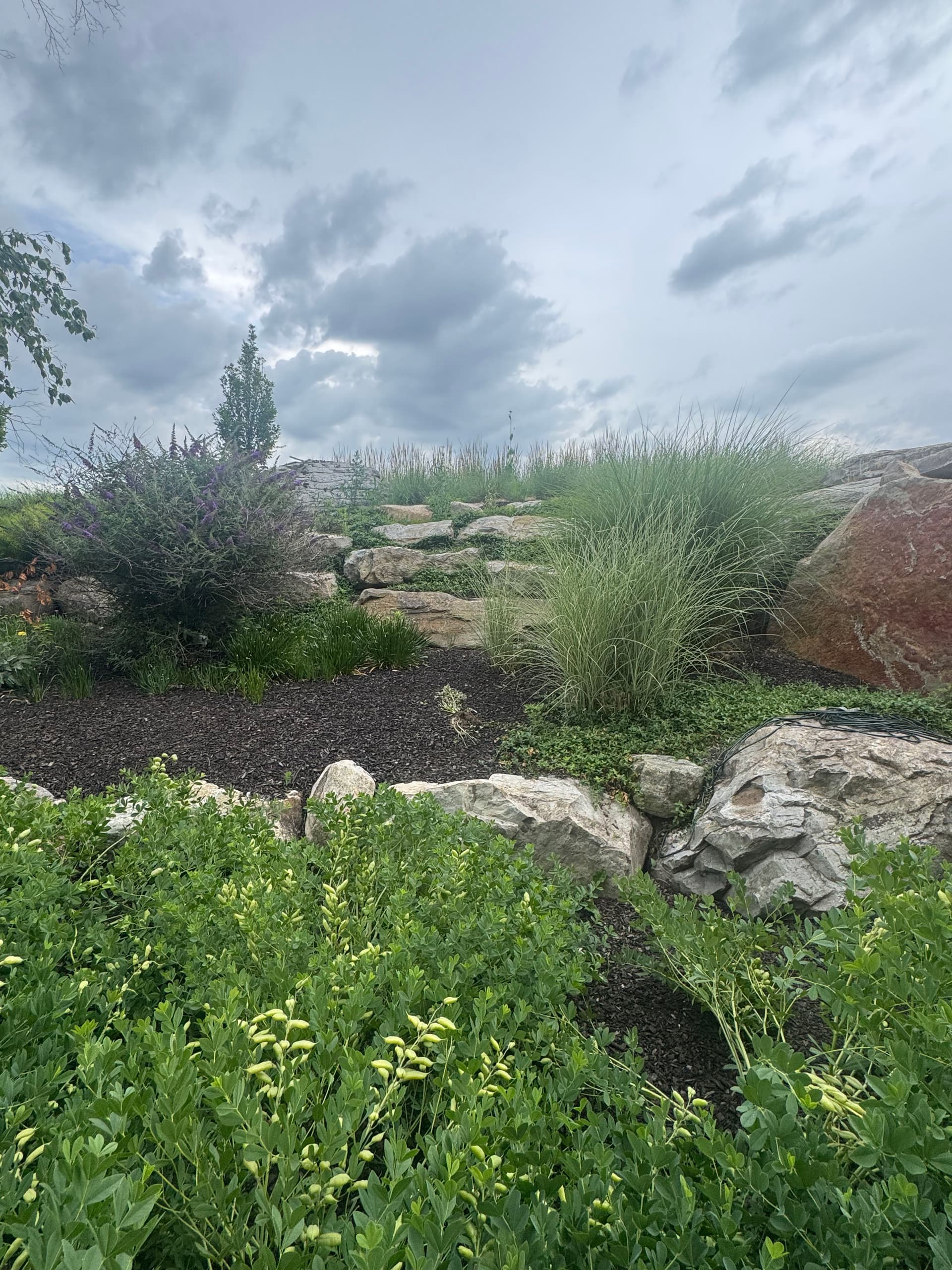Gallery photos for A Bluestone Walkway and Boulder Landscape That Only Gets Better: Image #4