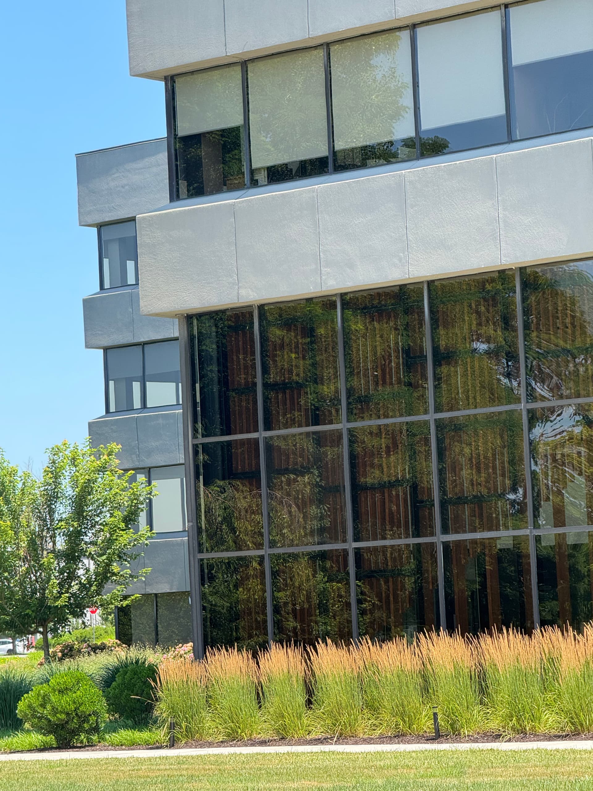 Gallery photos for This Commercial Landscape Still Looks This Good After 5 Years: Image #9