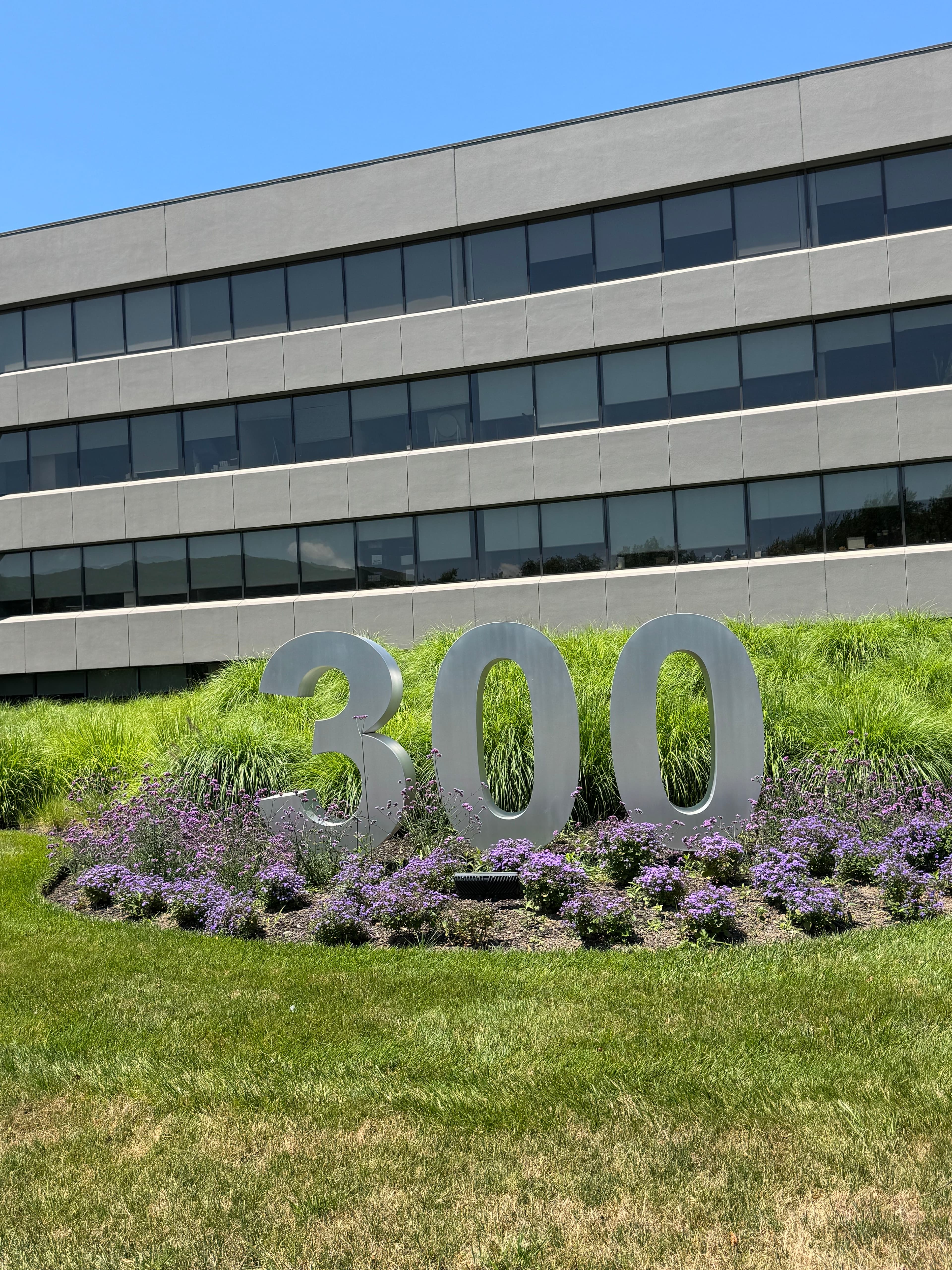 Project This Commercial Landscape Still Looks This Good After 5 Years image
