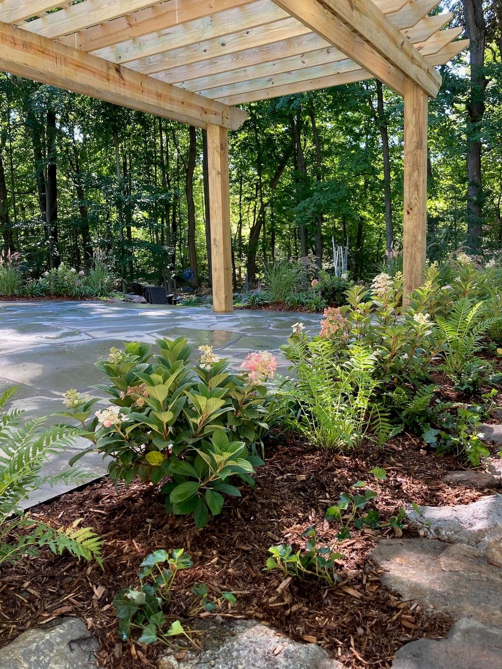 Garden area with plants and a wooden pergola under a canopy of trees. Natural landscaping.