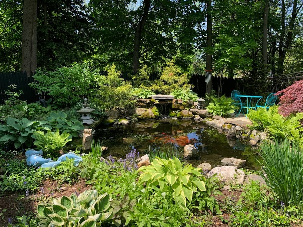 Lush garden with koi pond, vibrant plants, stone features, and a blue bench surrounded by greenery.