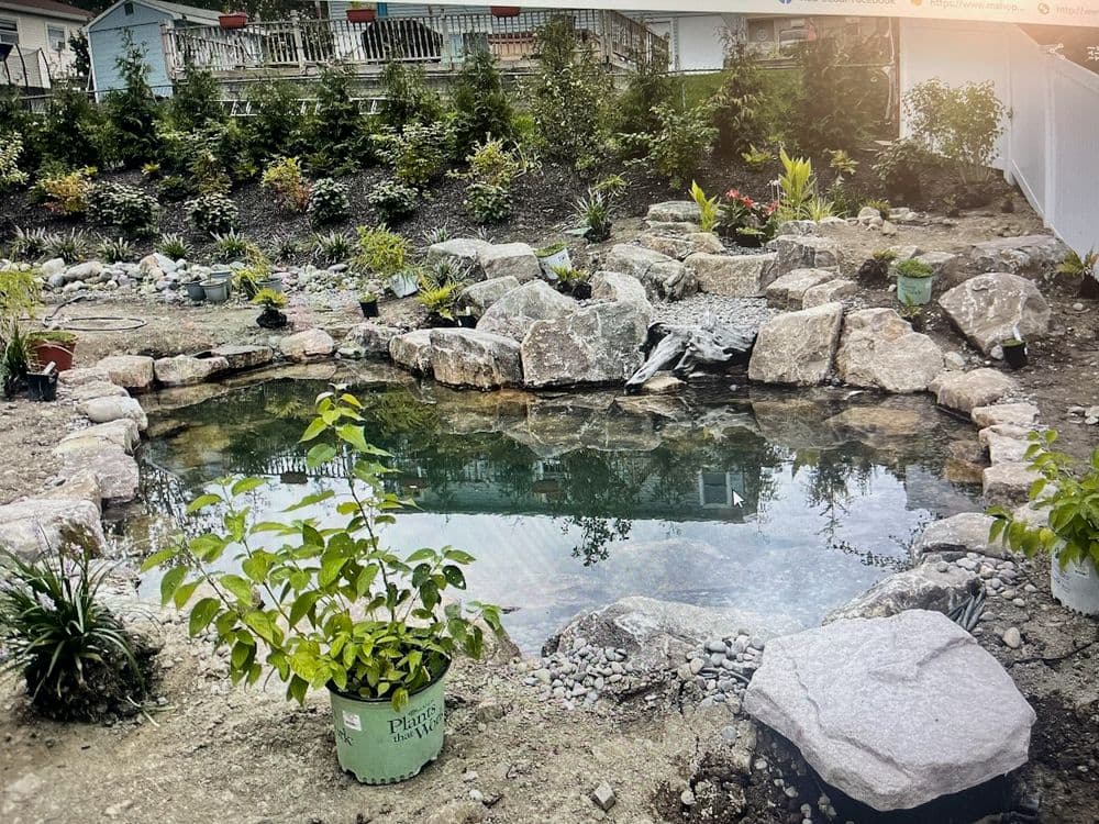 landscaped pond surrounded by rocks and plants in a home garden setting
