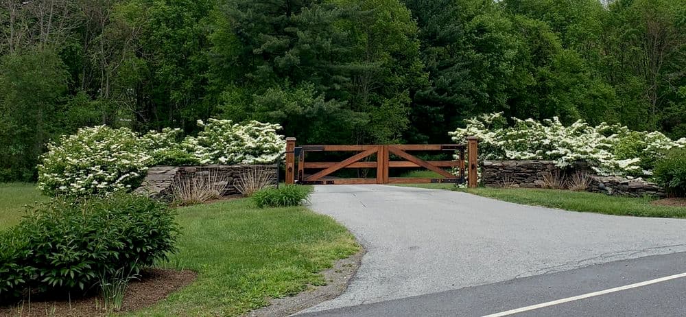 Wooden gate surrounded by blooming white flowers and lush greenery. Peaceful entrance view.