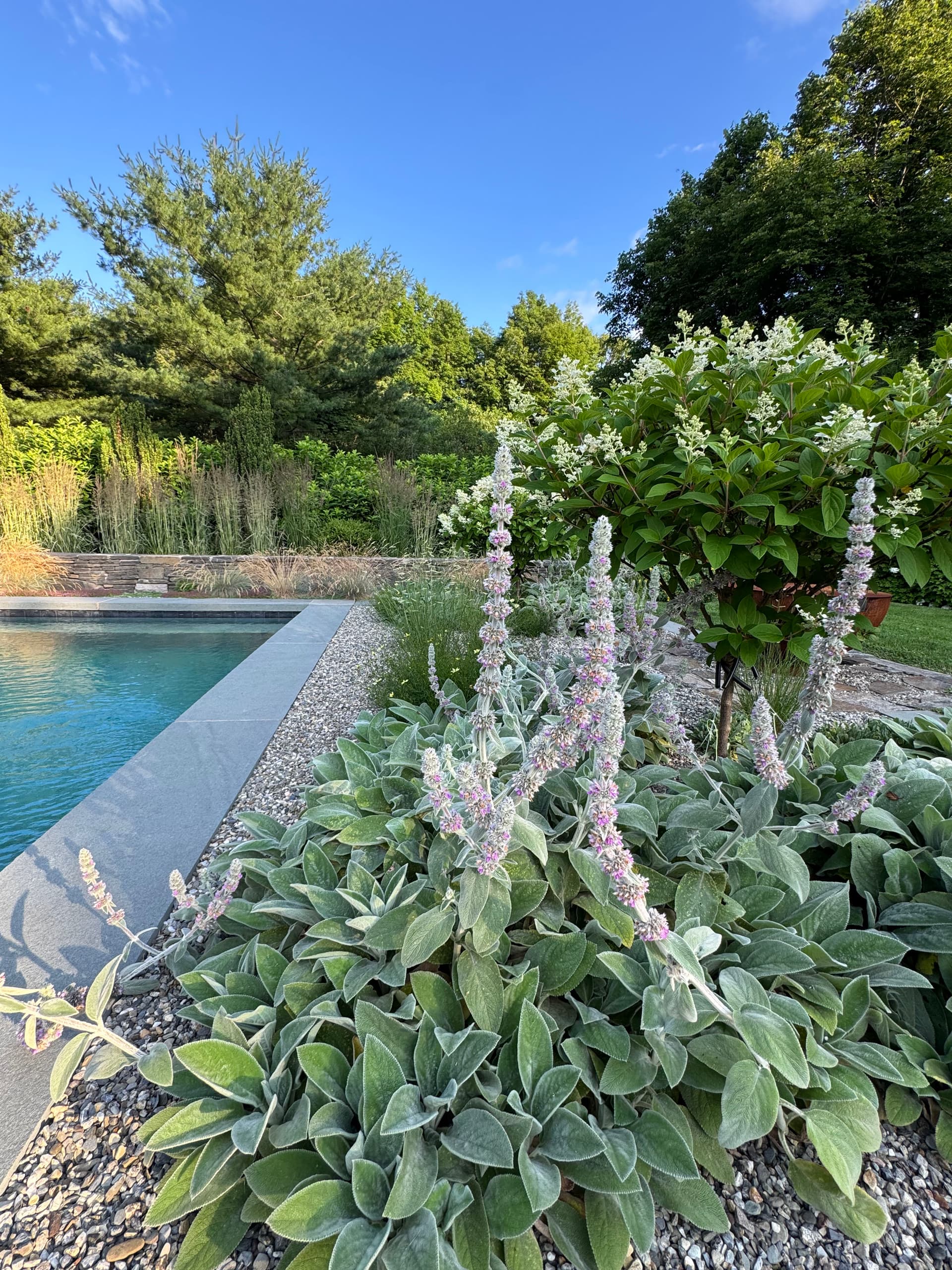 Gallery photos for How Stone, Gravel, and Plants Create Year-Round Landscape Interest: Image #4
