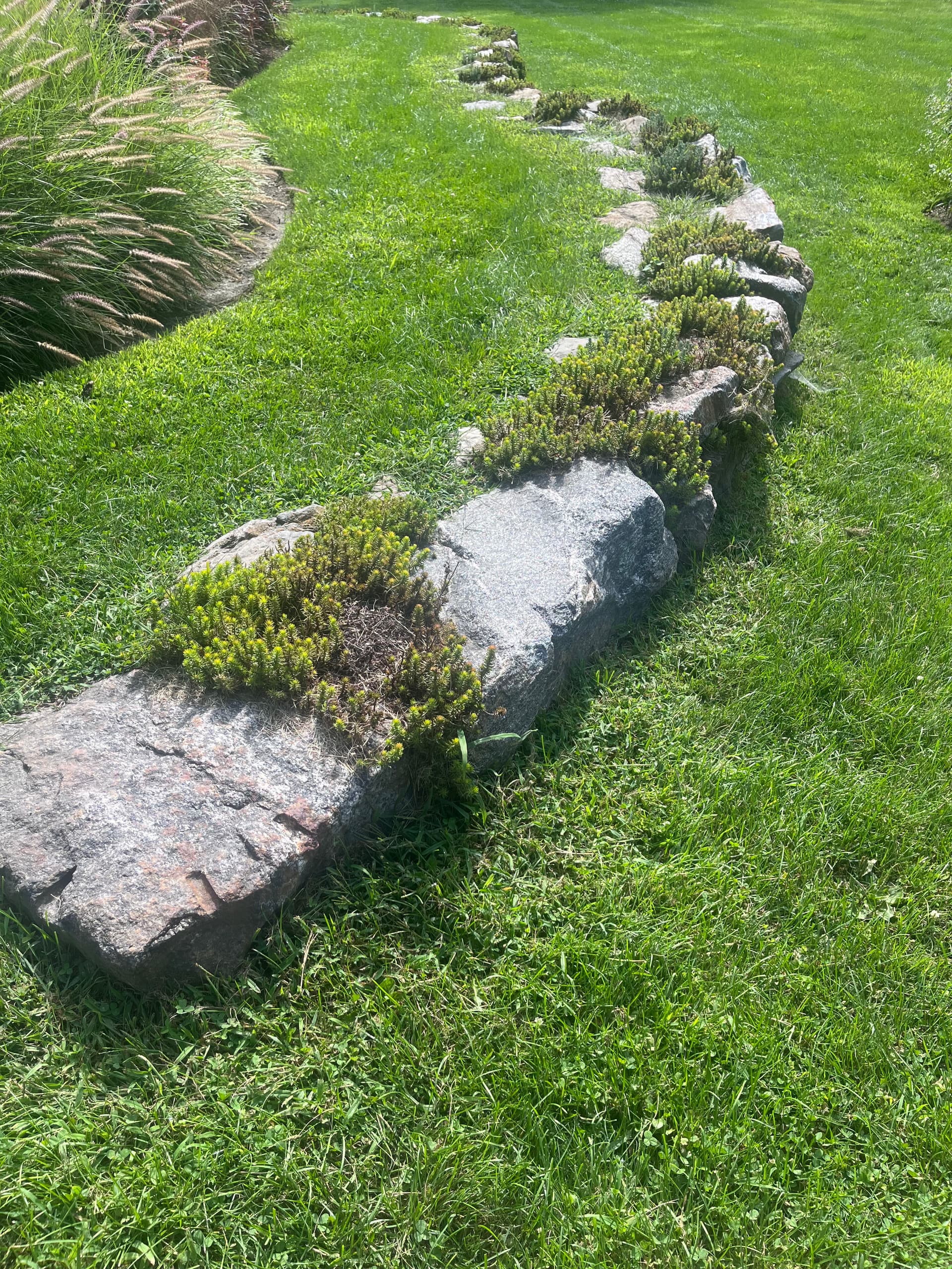 Gallery photos for Bluestone, Landscape Walls, and Planting Beds Done Right: Image #5