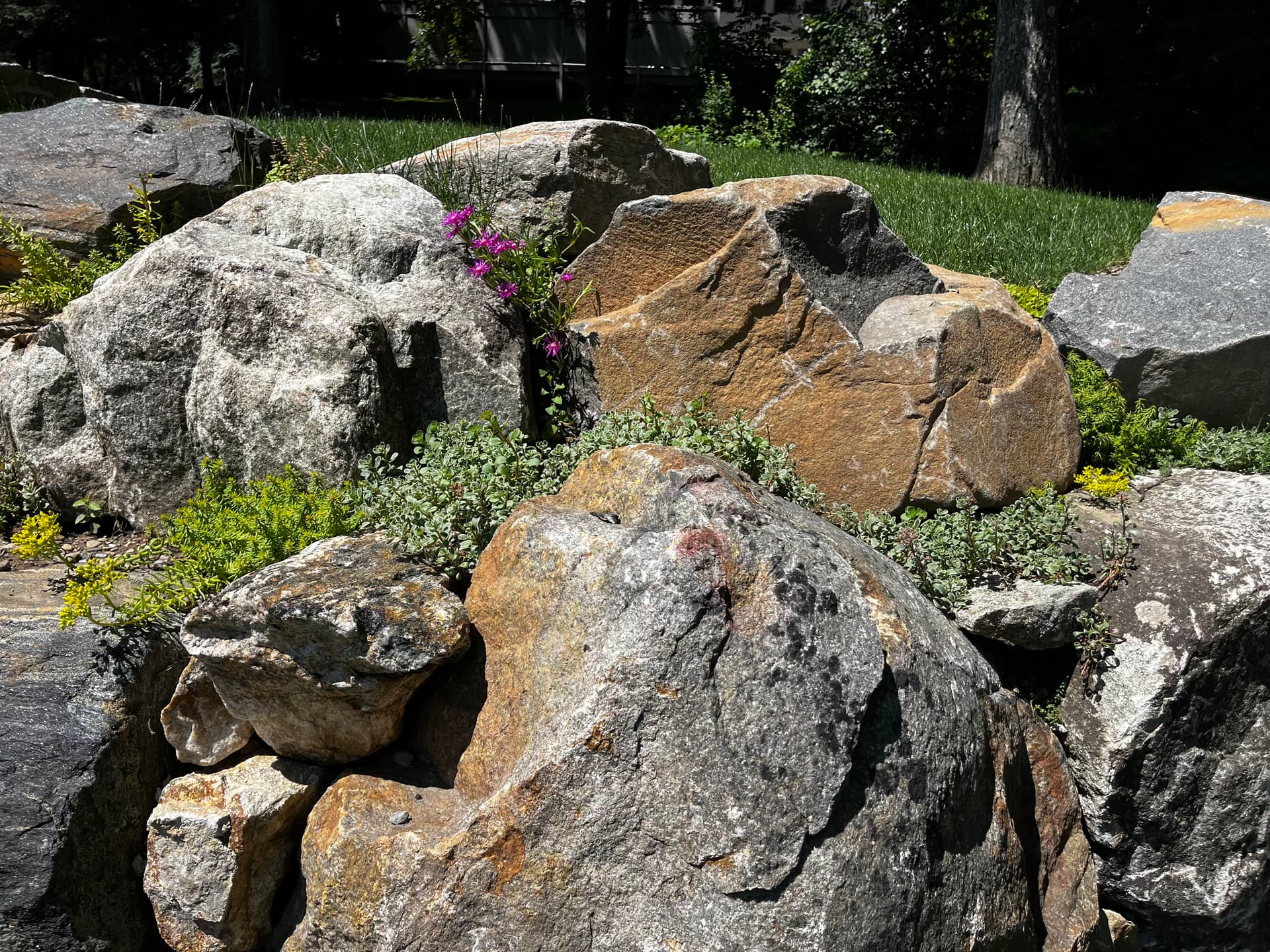 Gallery photos for How Stone, Gravel, and Plants Create Year-Round Landscape Interest: Image #1