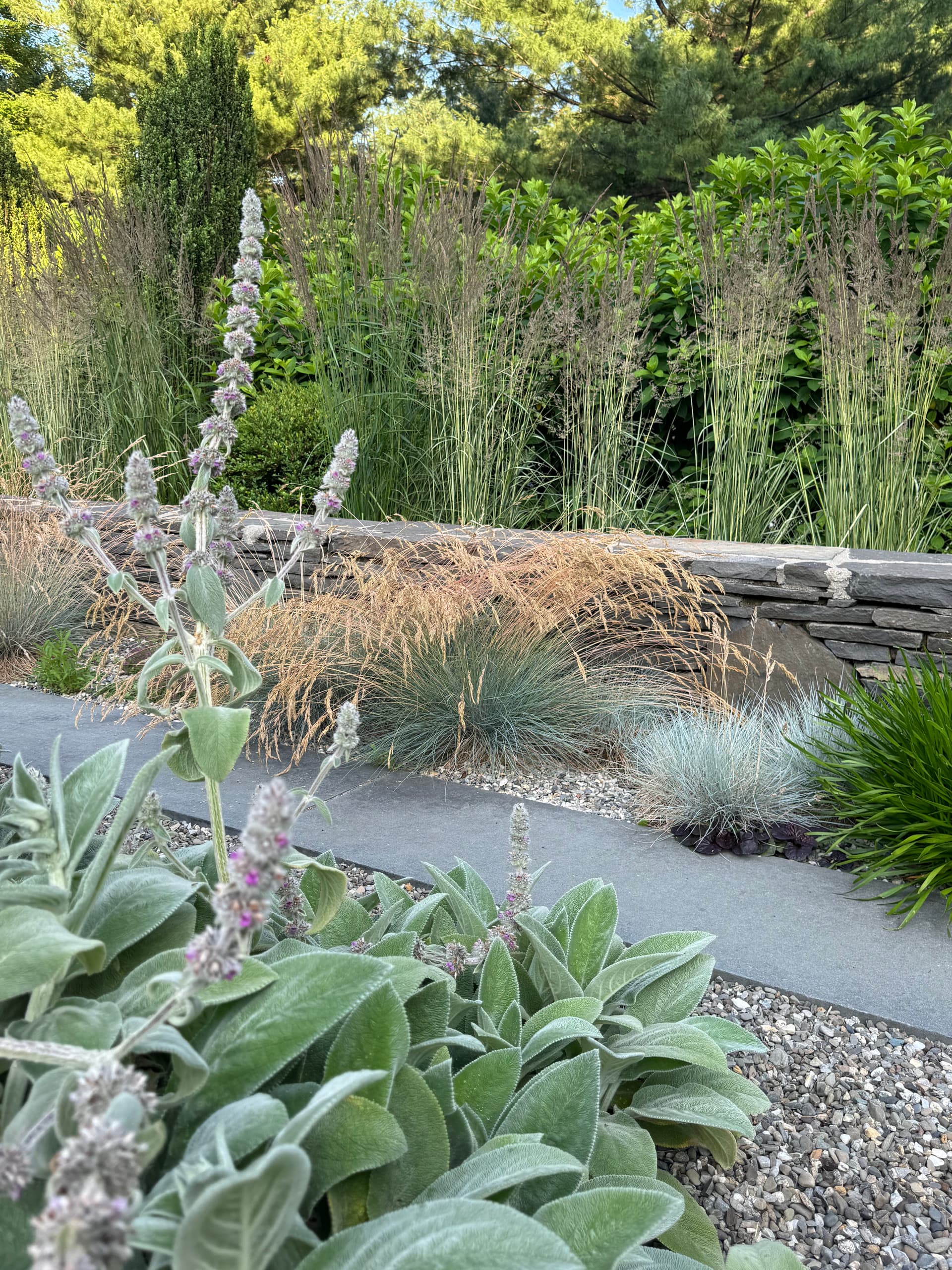 Gallery photos for How Stone, Gravel, and Plants Create Year-Round Landscape Interest: Image #8