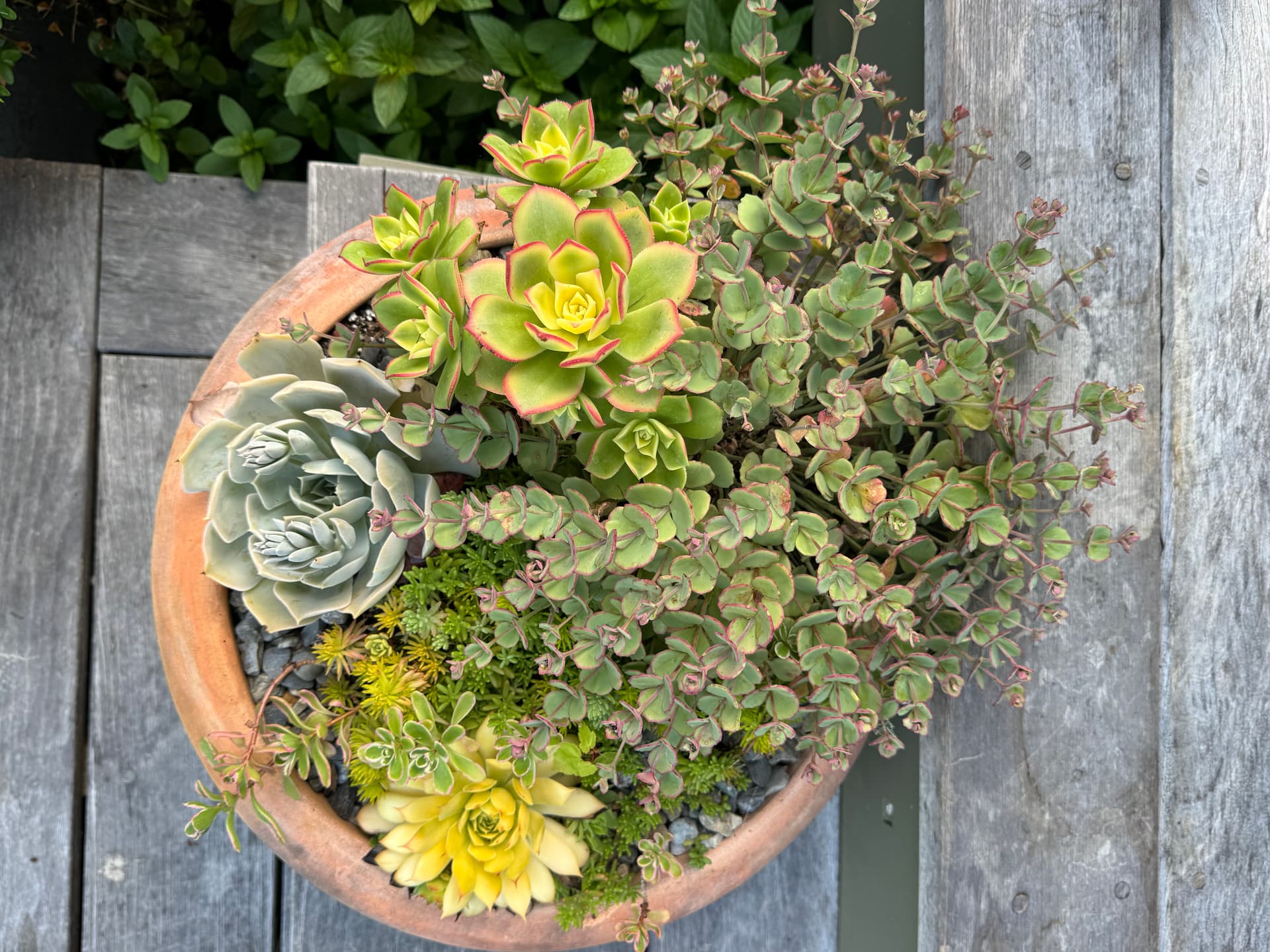 Gallery photos for How Stone, Gravel, and Plants Create Year-Round Landscape Interest: Image #2