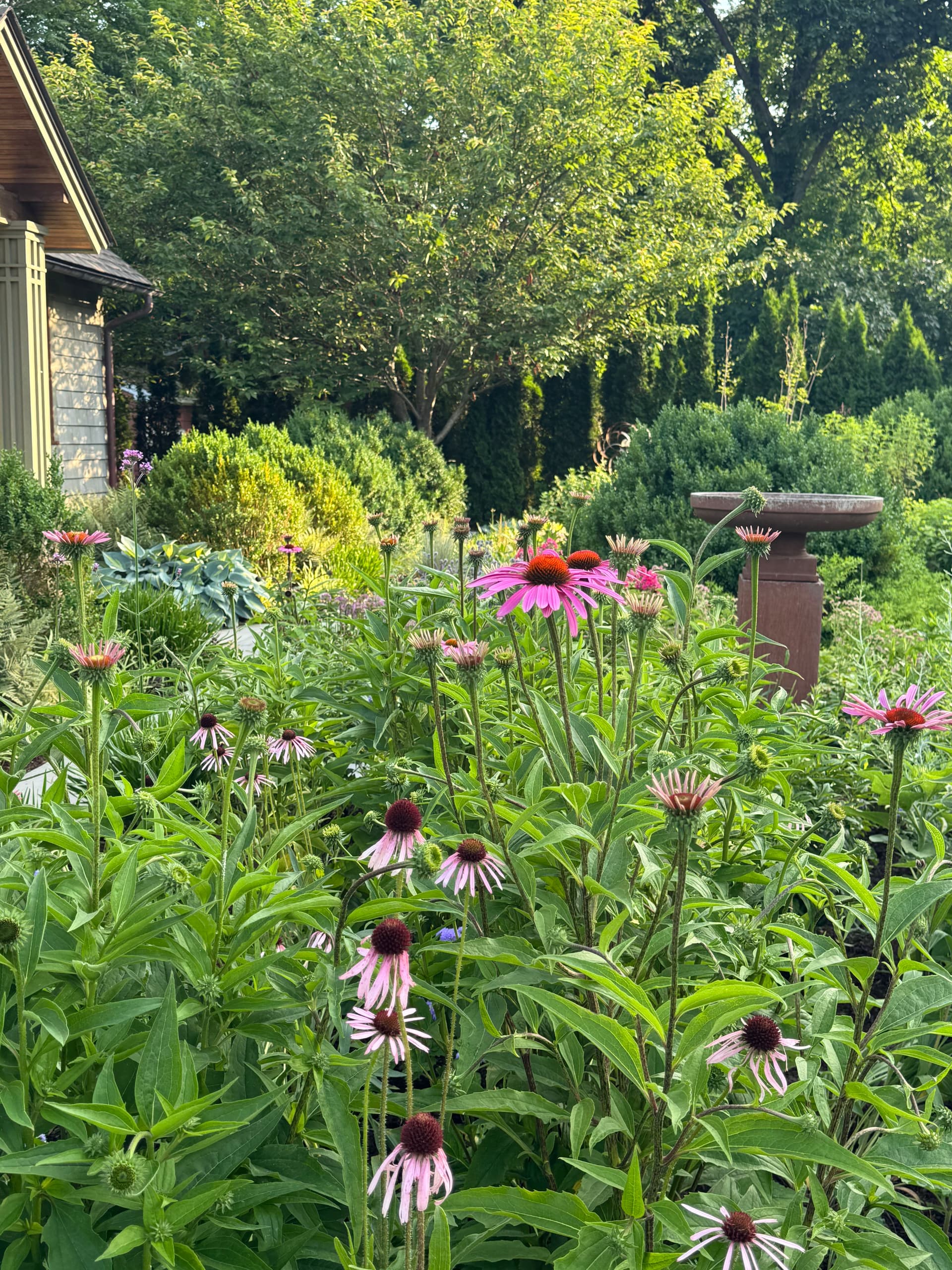 Gallery photos for How Stone, Gravel, and Plants Create Year-Round Landscape Interest: Image #7