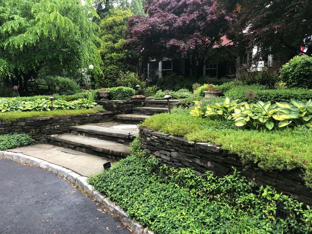 Lush garden with stone steps, hostas, and vibrant foliage in a residential setting.