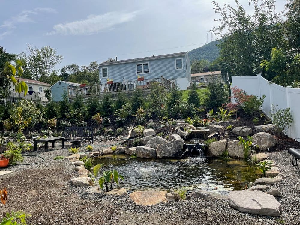 Lush backyard garden with pond, rocks, greenery, and a house in the background on a sunny day.