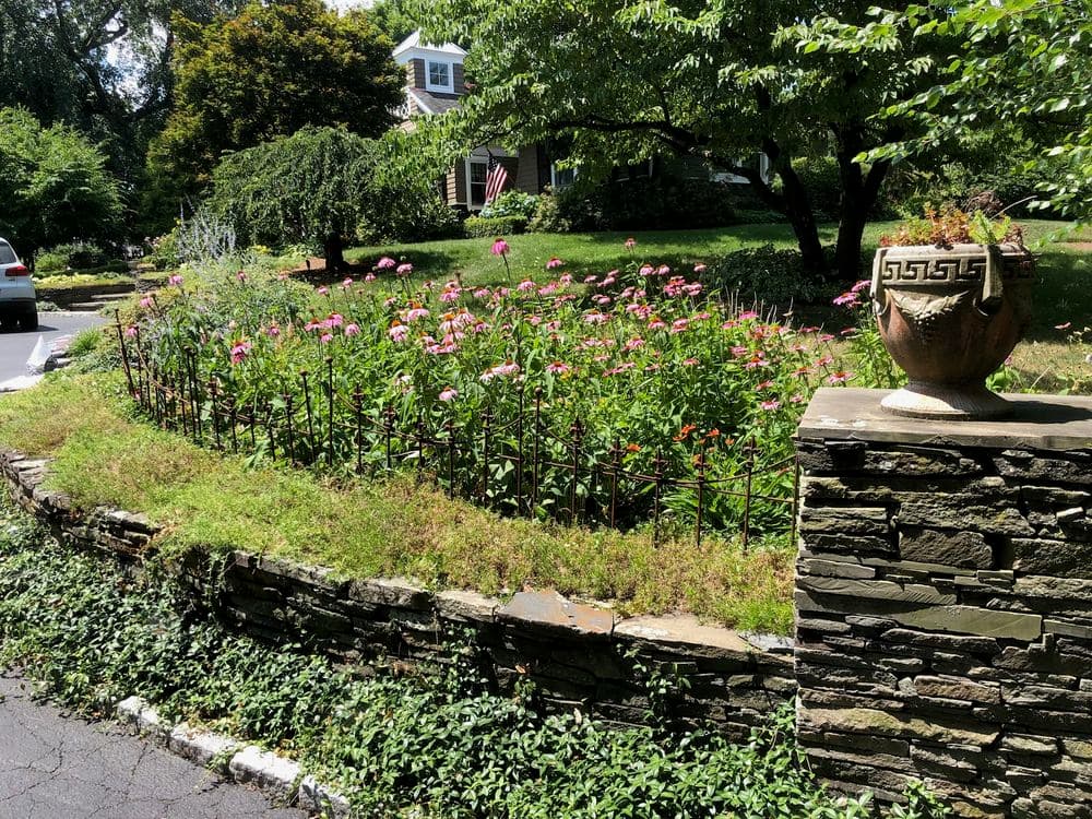 Colorful flower garden with pink blooms, stone wall, and decorative pot in a residential area.