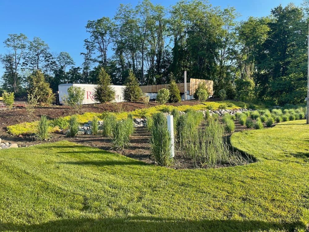 Landscape of a garden with green grass, bushes, and a modern building in the background.